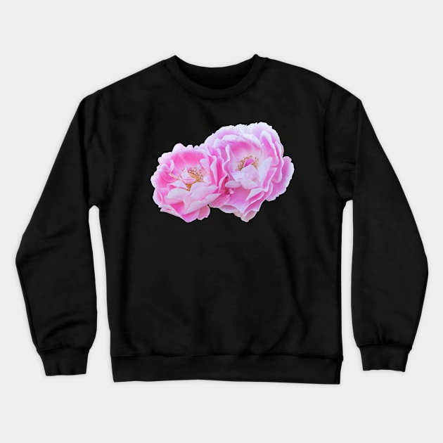 Pink and White Bicolor Roses Crewneck Sweatshirt by Amy-K-Mitchell